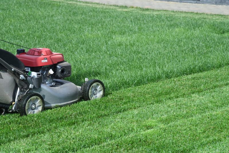 Mowing Equipment in Action
